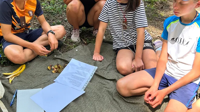 Messenger_creation_D47CBC42-7FFD-45B2-B3D0-31F4279233C1