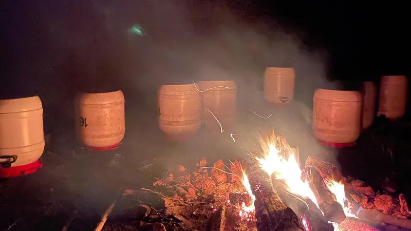 7599C091-9E25-4BDE-8873-4626246B2831